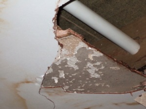 Asbestos found under plastered ceiling