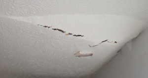 Making A Ceiling Repair Claim Need A Professional Quote For