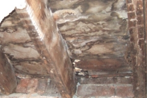 rotten floor joists & bathroom floor