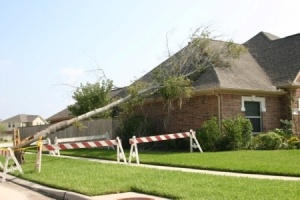 Storm caused tree to fall on house