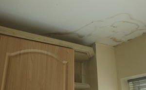 Making A Ceiling Repair Claim Need A Professional Quote For