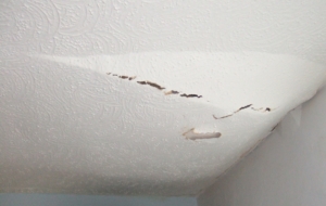 Water bulge in Artex ceiling